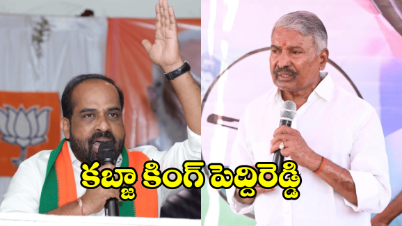 Sathya Kumar Yadav on Peddireddy: సాయిరెడ్డి వ్యవసాయం చేసుకుంటే నాకేంటి? పెద్దిరెడ్డి సంగతి తేలుస్తాం.. మంత్రి సత్యకుమార్