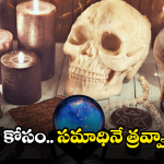 Asifabad District News: శ్మశానంలో దొంగలు పడ్డారు.. ఏం దోచుకెళ్లారంటే?