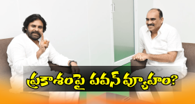 Janasena Party: పెద్ద ప్లాన్ వేసిన జనసేన.. ఆ జిల్లాలో టార్గెట్ ఎవరు?