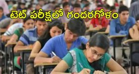 TET Exam: టెట్ పరీక్షలో సాంకేతిక లోపం.. అభ్యర్థులు ఆందోళన.. చివరకి ఏమైందంటే..?
