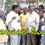 CM Chandrababu: ఈవోకు చంద్రబాబు చివాట్లు.. ఆగ్రహంతో ఊగిపోయిన సీఎం
