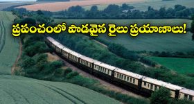 Longest Train Journeys: ప్రపంచంలో ఎక్కువ దూరం ప్రయాణించే రైళ్లు.. ఒక్కో రైలు ఎన్ని వేల కిలో మీటర్లు వెళ్తుందో తెలుసా?
