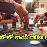 Money Laundering: టీడీపీ నేత సపోర్టుతో కొలంబియాలో కేసినో.. ఎంట్రీ ఫీజు ఎంతో తెలుసా..!