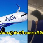 IndiGo Flight: ఇండిగో విమానంలో బాంబు కలకలం.. కొట్టుకున్న ప్రయాణికులు !