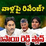 Vijay Sai Reddy Next Plan: రివేంజ్ కోసమే రాజకీయాలకు గుడ్ బై.. విజయసాయి రెడ్డి ప్లాన్ ఇదే..?