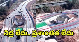 Best Hair Oils: ఈ ఆయిల్స్‌తో జుట్టు పెరగడం గ్యారంటీ !