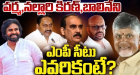 Rajyasabha MP Candidate: విజయ్ సాయి రెడ్డి ప్లేస్‌లో రాజ్యసభకి వెళ్లేది ఎవరు?