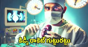 Apprentice Jobs: సౌత్ ఈస్టర్న్ కోల్‌ఫీల్డ్స్ లిమిటెడ్‌లో 800 పోస్టులు.. దరఖాస్తుకు చివరితేది ఇదే.. APPLY NOW