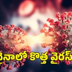 China’s New Virus: చైనాను కలవరపెడుతున్న కొత్త వైరస్..  కోవిడ్ లాంటి లక్షణాలతో వేగంగా వ్యాప్తి..