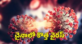 China's New Virus: చైనాను కలవరపెడుతున్న కొత్త వైరస్..  కోవిడ్ లాంటి లక్షణాలతో వేగంగా వ్యాప్తి..