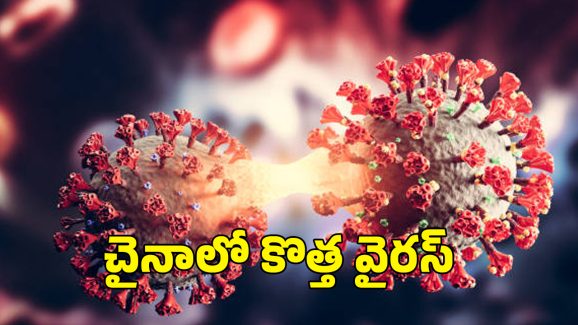 China’s New Virus: చైనాను కలవరపెడుతున్న కొత్త వైరస్..  కోవిడ్ లాంటి లక్షణాలతో వేగంగా వ్యాప్తి..