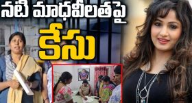 Pushpa2 Collections : 'బాహుబలి2' రికార్డు బ్రేక్.. పుష్పగాడి ఊచకోతకు వణుకుతున్న బాక్సాఫీస్..