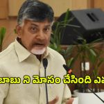 CM Chandrababu: నన్ను మోసం చేశారు.. వదిలిపెట్టను.. బాబు వార్నింగ్