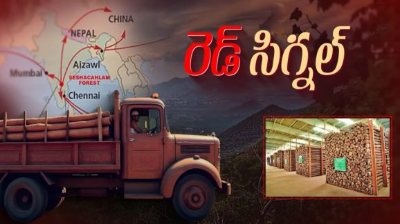 Red Sandalwood Smuggling: ఎర్రచందనం మూఠాల నయా స్కెచ్.. శేషాచలం అడవుల్లో జరిగేది ఇదేనా..?