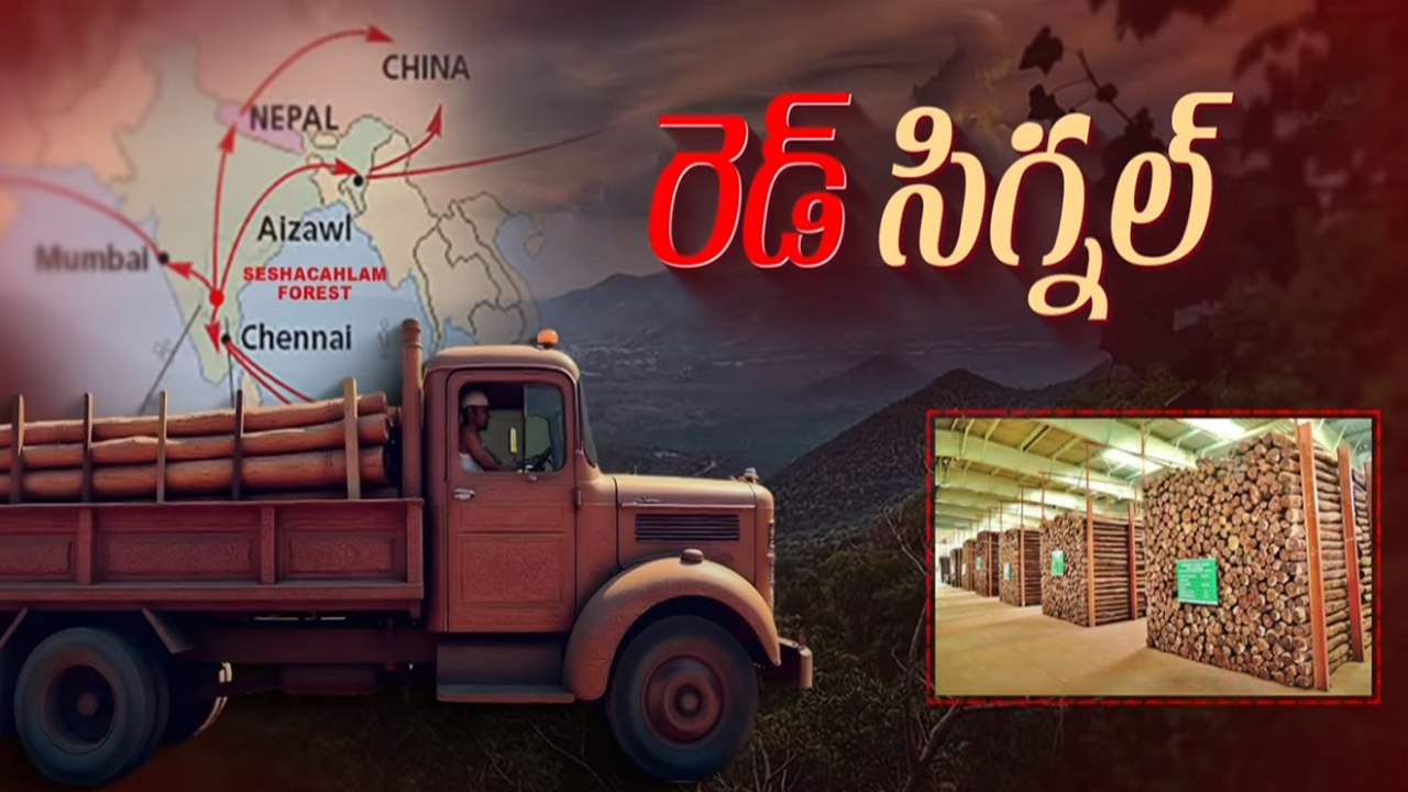 Red Sandalwood Smuggling: ఎర్రచందనం మూఠాల నయా స్కెచ్.. శేషాచలం అడవుల్లో జరిగేది ఇదేనా..?