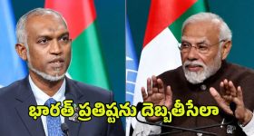 Washington Post Reports: భారత్ ప్రతిష్టను దెబ్బతీసేలా వాషింగ్టన్ పోస్ట్ నివేదికలు.. అసలేమైందంటే?