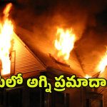 Fire accident in AP: ఏపీలో రెండు చోట్ల అగ్ని ప్రమాదాలు..  ముగ్గురు మృతి