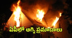 Fire accident in AP: ఏపీలో రెండు చోట్ల అగ్ని ప్రమాదాలు..  ముగ్గురు మృతి