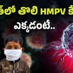 HMPV Virus In India: అలర్ట్.. ఇండియాలో హెచ్ఎంపీవీ కేసులు నమోదు..
