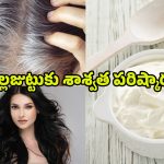 Curd For White Hair: తెల్లజుట్టు సమస్యలకు చెక్ పెట్టాలంటే.. పెరుగుతో ఇలా చేయండి..