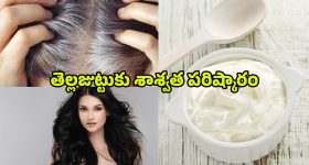 Curd For White Hair: తెల్లజుట్టు సమస్యలకు చెక్ పెట్టాలంటే.. పెరుగుతో ఇలా చేయండి..