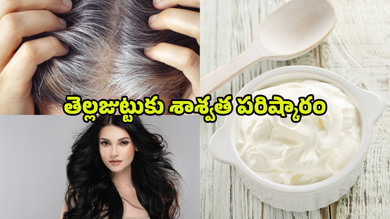 Curd For White Hair: తెల్లజుట్టు సమస్యలకు చెక్ పెట్టాలంటే.. పెరుగుతో ఇలా చేయండి..
