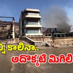 Los Angeles Wildfire: ఇది అద్భుతం.. చుట్టూ ఉన్న ఇళ్లు కాలి బూడిదైనా.. ఆ ఇల్లు మాత్రం..?