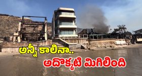 Los Angeles Wildfire: ఇది అద్భుతం.. చుట్టూ ఉన్న ఇళ్లు కాలి బూడిదైనా.. ఆ ఇల్లు మాత్రం..?