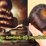 Henna For White Hair: కెమికల్ డైతో పనిలేదు..హెన్నాలో వీటిని కలిపి వాడితే.. జీవితంలో తెల్ల జుట్టు రాదు