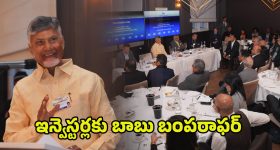 CM Chandrababu: ఎక్కడైనా మనదే గెలుపు.. ఇన్వెస్టర్లకు బాబు బంపరాఫర్