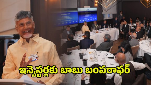 CM Chandrababu: ఎక్కడైనా మనదే గెలుపు.. ఇన్వెస్టర్లకు బాబు బంపరాఫర్