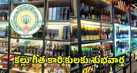 Delhi Elections : ఢిల్లీ అసెంబ్లీ ఎన్నికల బరిలో 699 మంది అభ్యర్థులు.. మద్యం, డ్రగ్స్ సీజ్