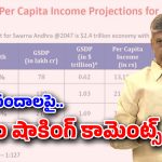Chandra Babu: సంపద సృష్టిస్తాం.. ప్రజల ఆదాయం పెంచుతాం – రాష్ట్ర వృద్ధి రేటుపై సీఎం చంద్రబాబు ప్రజెంటేషన్
