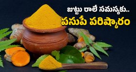 Satyabhama Today Episode : క్రిష్ ప్రేమకు సత్య ఫిదా.. కూతురుకోసం కరిగిన విశాలాక్షి..