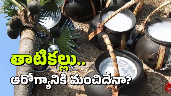 Thati kallu: తాటికల్లు ఆరోగ్యానికి మంచిదేనా? దానికి ఎందుకంత డిమాండ్?