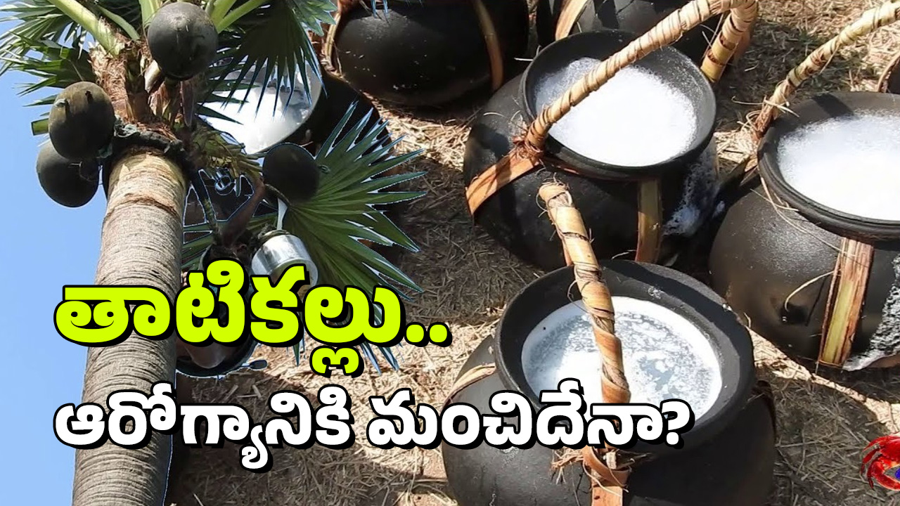 Thati kallu: తాటికల్లు ఆరోగ్యానికి మంచిదేనా? దానికి ఎందుకంత డిమాండ్?