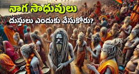 Naga Sadhus: నాగ సాధువులుగా ఎలా మారుతారు? వారికి సంబంధించిన విశేషాలు ఇవిగో