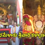 Prayagraj Kumbh Mela: ప్రయాగ్‌రాజ్ కుంభమేళాకు బయలుదేరిన శ్రీవారి కళ్యాణరథం