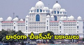 Blackheads: ఇంట్లోనే బ్లాక్ హెడ్స్‌కు చెక్ పెట్టండిలా !