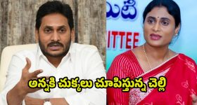 Wife Emotional Abuse : పెళ్లయిన ఏడాది తర్వాత నరకం చూపిస్తున్న భార్య.. నెట్టింట బాధ చెప్పుకొని భోరుమన్న భర్త!