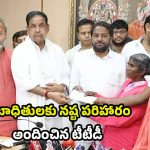 Tirupati Stampede: తిరుపతి తొక్కిసలాట ఘటన.. బాధితులకు నష్టపరిహారం అందించిన టీటీడీ