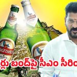 CM Revanth Reddy: త్వరలో కొత్త బ్రాండ్లు.. కింగ్‌ఫిషర్‌పై రేవంత్ సీరియస్