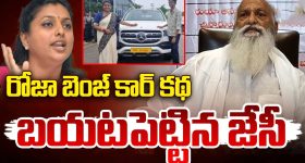 Hair Fall Reasons: జుట్టు రాలడానికి గల ప్రధాన కారణాలేంటో మీకు తెలుసా ?
