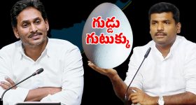 Vijayasai Reddy: విజయసాయిరెడ్డి రాజీనామాపై స్పందించిన వైసీపీ..