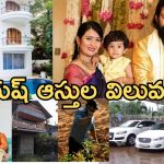 HBD Hero Yash: కేజీఎఫ్ హీరో యష్ ఆస్తుల విలువ ఎన్ని కోట్లో తెలుసా..?