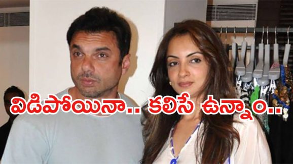 Salman Khan: విడాకులు తీసుకున్న సల్మాన్ ఖాన్ తమ్ముడు.. ఇది గమనించలేదా..?