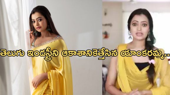 Sowmya Rao: సొంత ఇండస్ట్రీపై విమర్శలు.. మంట గట్టిగానే తగిలిందా..?