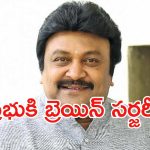 Actor Prabhu: నటుడు ప్రభుకి బ్రెయిన్ సర్జరీ.. ఆందోళనలో ఫ్యాన్స్..!