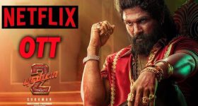 Pushpa 2 OTT Update: ఫ్యాన్స్ కి గుడ్ న్యూస్.. మరో సర్ప్రైజ్ తో ఓటీటీలోకి..!