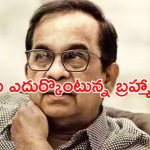 Brahmanandam: హాస్యబ్రహ్మపై దాడి.. అసలేం జరిగిందంటే..?